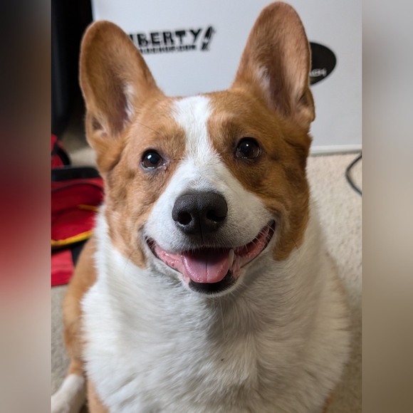 Meet your Posher, Erik - Picture 5 of 5